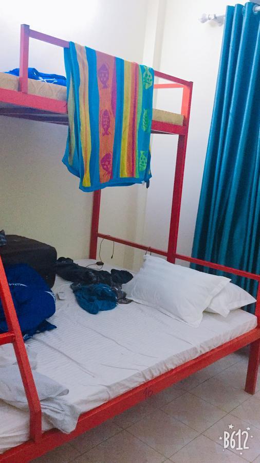 Home Backpackers Hostel ハノイ市 エクステリア 写真